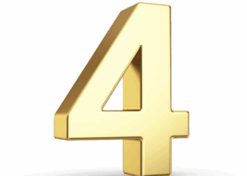 4 COSO Risk Assessment Principles of the 2013 Framework