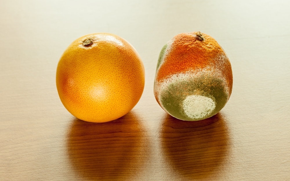 How to Store Mandarins and Prevent Rot