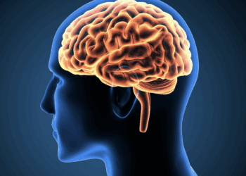 The Emergence of a Cognitive Risk Era: The Role of Cognitive Risk Governance