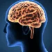 The Emergence of a Cognitive Risk Era: The Role of Cognitive Risk Governance