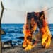 pants on fire