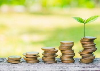 stacks of coins on wood table with green sapling
