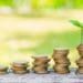 stacks of coins on wood table with green sapling