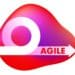 The word "agile" imposed on amorphous shape
