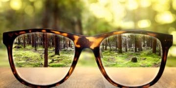 glasses on table putting forest into focus