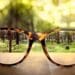 glasses on table putting forest into focus