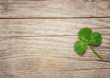 green shamrock on wood background
