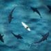 aerial view of surfer surrounded by sharks