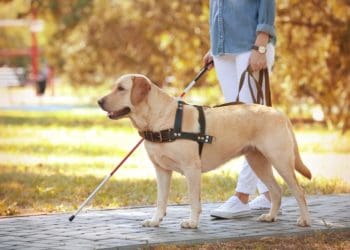 seeing impaired woman with service dog at the park