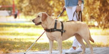 seeing impaired woman with service dog at the park