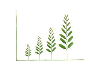 increasingly large tree leaves plotted on bar graph