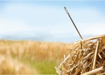 needle in a haystack outside