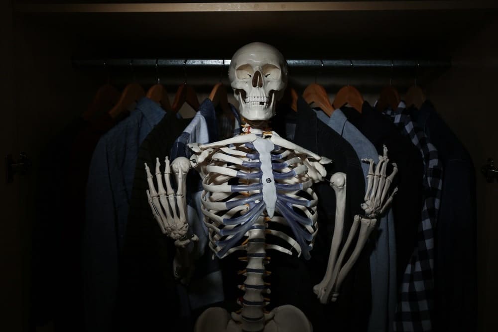 Getting your skeletons out of the closet - PhUSE Wiki