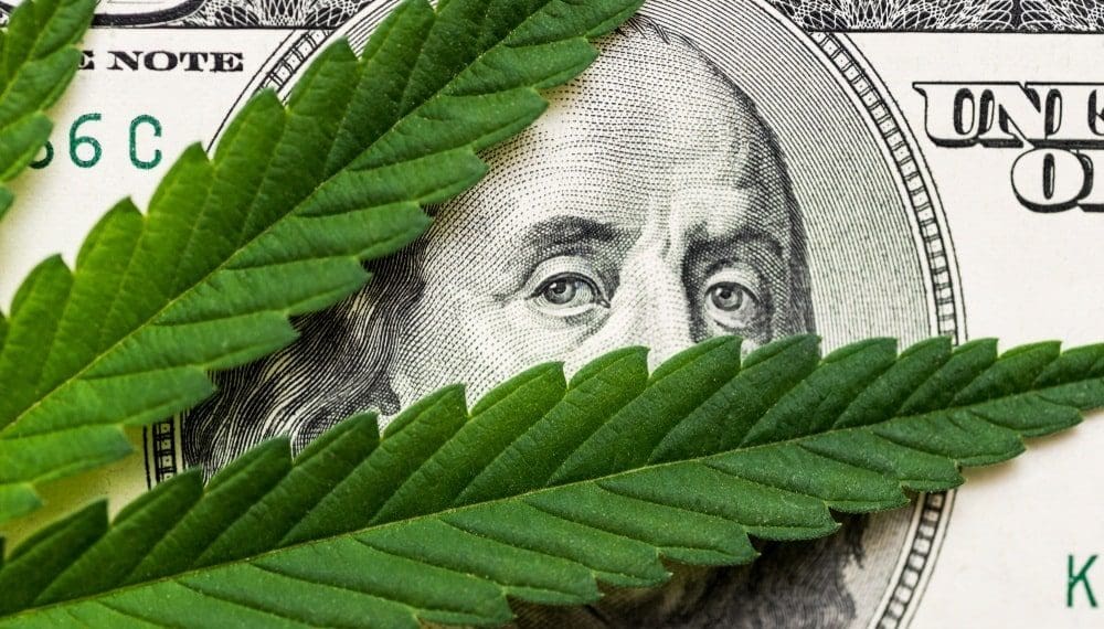 cannabis leaf on $100 bill