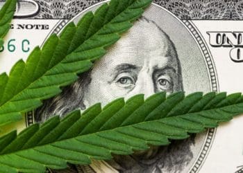 cannabis leaf on $100 bill
