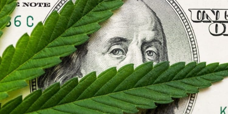 cannabis leaf on $100 bill