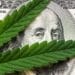 cannabis leaf on $100 bill