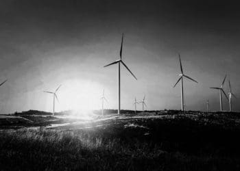 A wind farm stands before the setting sun in black and white.
