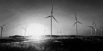 A wind farm stands before the setting sun in black and white.
