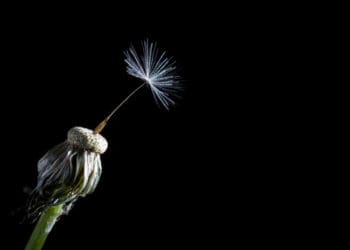 Strategic Resilience Will Be Key to the Post-Pandemic Future