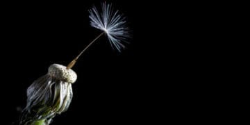 Strategic Resilience Will Be Key to the Post-Pandemic Future