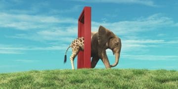 A giraffe steps through a red door and an elephant emerges