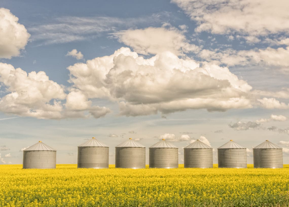 Grain silos sit under a blue sky in a field.