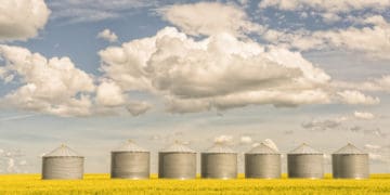 Grain silos sit under a blue sky in a field.