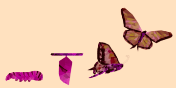 Illustration of a caterpillar transforming into a butterfly.