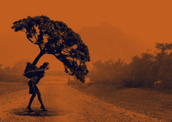 A chief compliance officer carries a large potted tree on her back.