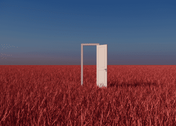 An open door stands in the middle of a field of grain, symoblizing the new position General Counsel finds itself in.