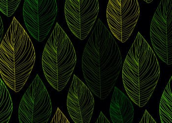 dark leaf pattern
