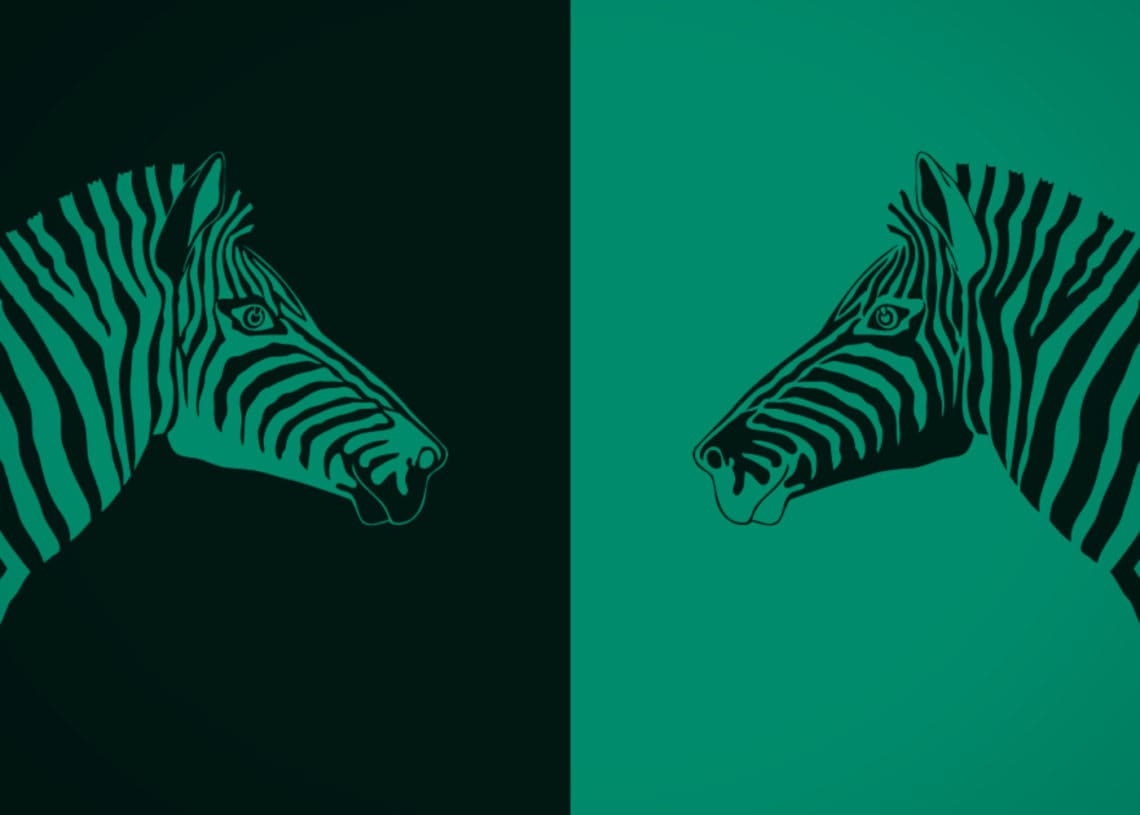 Illustration of two zebras looking at each other.
