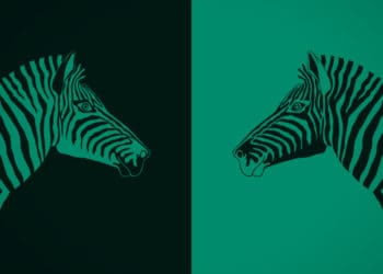 Illustration of two zebras looking at each other.