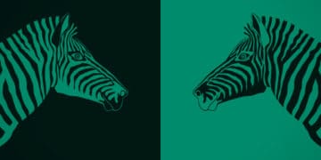 Illustration of two zebras looking at each other.