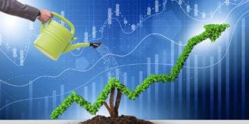 investment trajectory symbolized by green vine