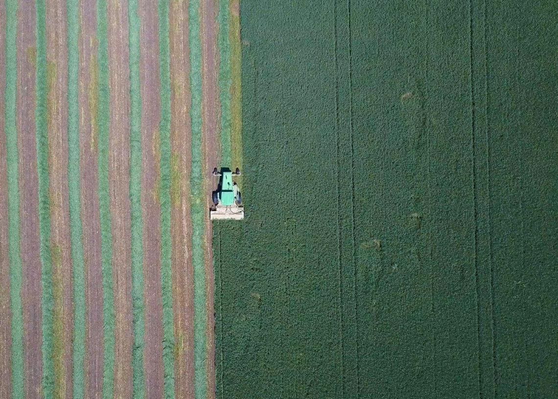 farmer harvesting crop overhead