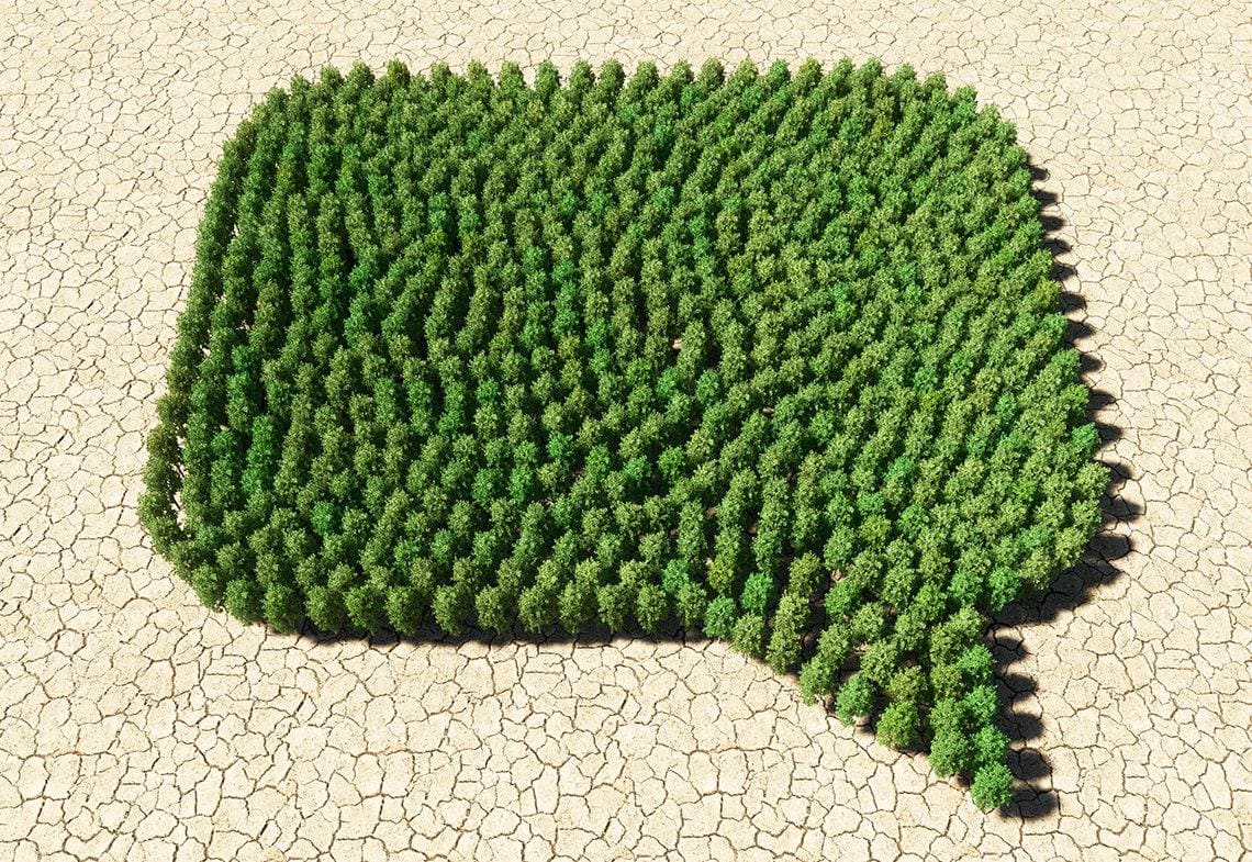 test image for new AR