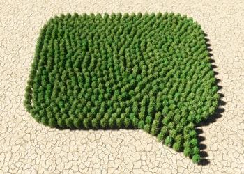 test image for new AR