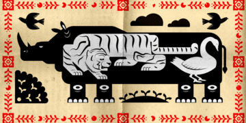 deloach zoo of risk