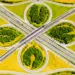 crazy intersection