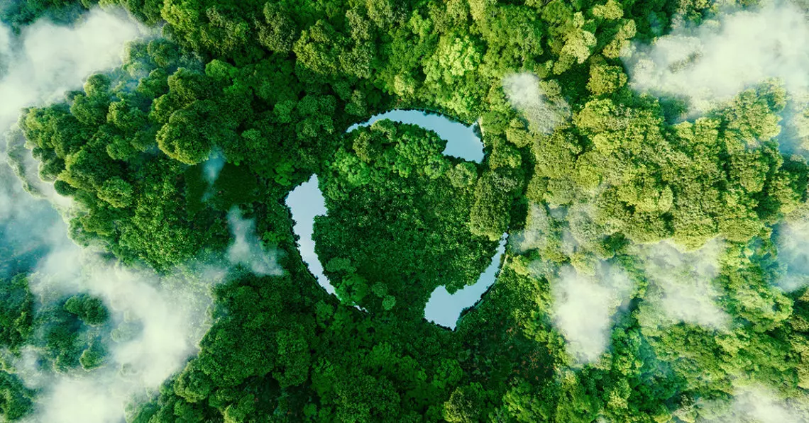 greenwashing