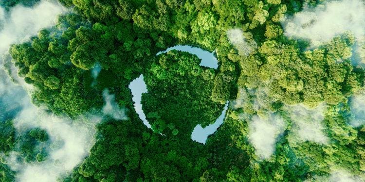 greenwashing