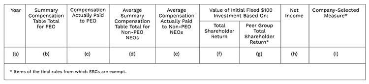 pay vs perf table