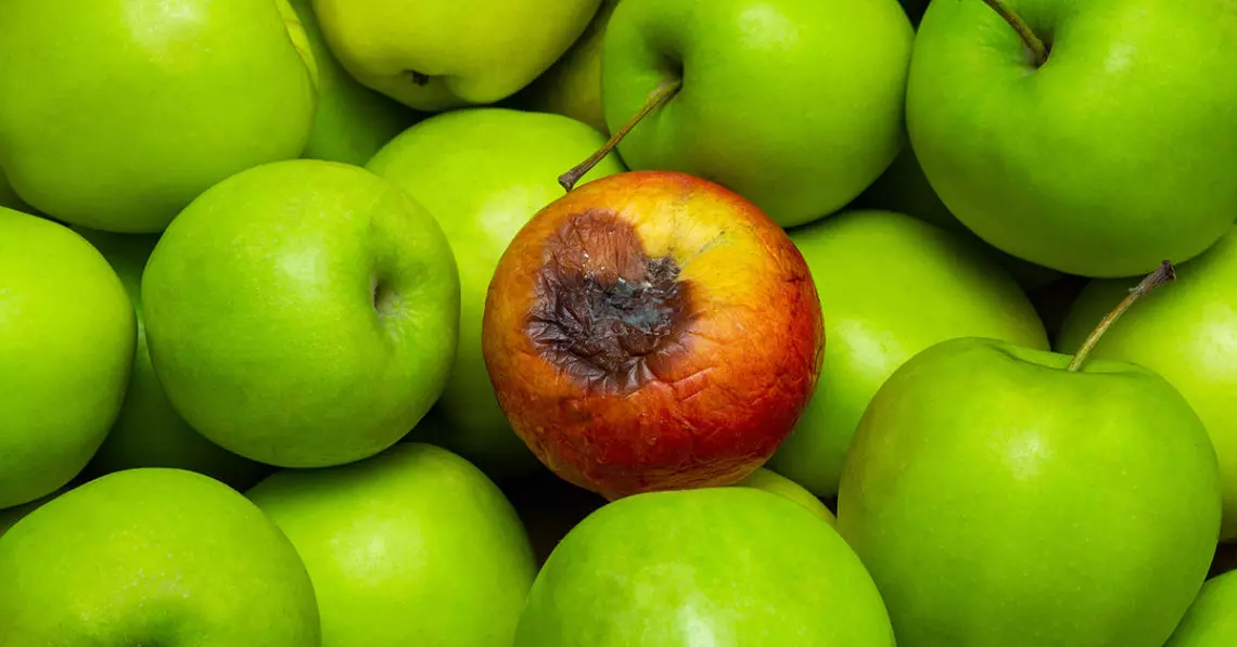 bad apples