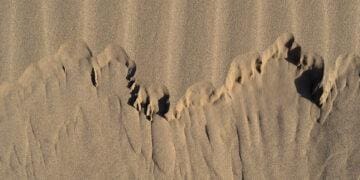 shifting sands risk