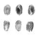 kyc fingerprints