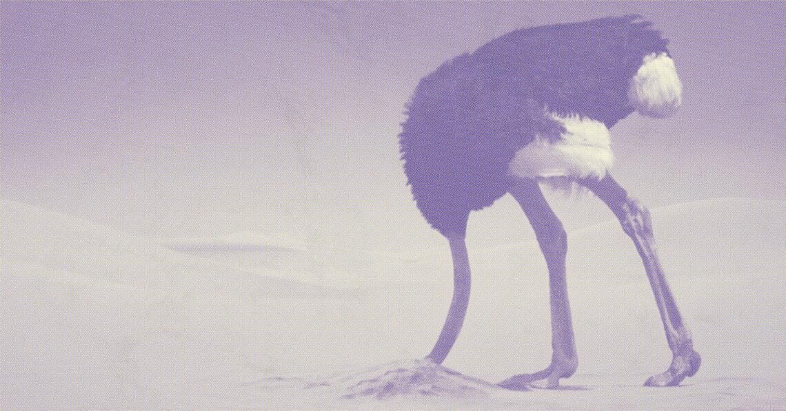 head in the sand