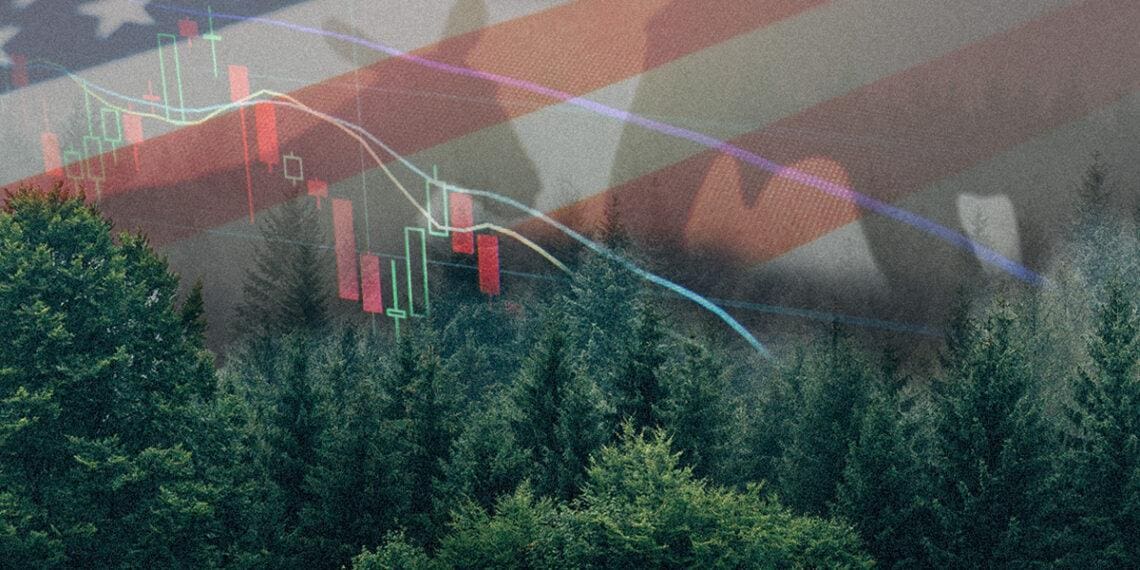 Stocks going down over woods