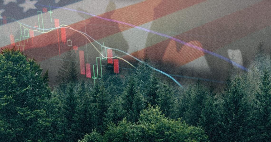 Stocks going down over woods